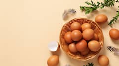 Egg Price Surge Hits Mid-Day Meals In Bengal, Anganwadi Workers Raise Alarm