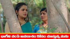 ‘నిండు నూరేళ్ల సావాసం’ సీరియల్‌: అడవిలో భాగీని చంపేందుకు మనోహరి ప్లాన్‌ - ఆశ్చర్యపోయిన చంభా