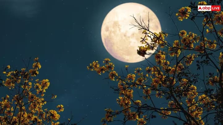 December Supermoon 2025 : বৃহস্পতিবার সন্ধ্যায় আকাশে সুপারমুন দেখা যাবে। এটি একটি বিশেষ দৃশ্য হতে চলেছে এবং আশা পূরণ করতে পারে।