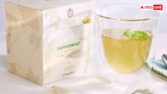 East India Company: आज क्या काम करती है ईस्ट इंडिया कंपनी, एक महीने में कितनी करती है कमाई?