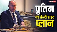 ब्रेकफास्ट, लंच और डिनर में क्या-क्या खाते हैं व्लादिमीर पुतिन, कौन उठाता है उनके राशन का खर्च