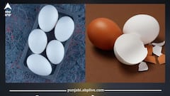 ਕਿਤੇ ਤੁਸੀਂ ਵੀ ਤਾਂ ਨਹੀਂ ਖਾ ਰਹੇ ਨਕਲੀ ਆਂਡੇ? ਇਨ੍ਹਾਂ ਆਸਾਨ ਟ੍ਰਿਕਸ ਨਾਲ ਪਛਾਣੋ ਅਸਲੀ ਜਾਂ ਨਕਲੀ...ਨਹੀਂ ਤਾਂ ਹੋ ਸਹੇੜ ਲਓਗੇ ਬਿਮਾਰੀਆਂ