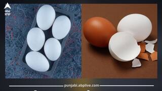 ਕਿਤੇ ਤੁਸੀਂ ਵੀ ਤਾਂ ਨਹੀਂ ਖਾ ਰਹੇ ਨਕਲੀ ਆਂਡੇ? ਇਨ੍ਹਾਂ ਆਸਾਨ ਟ੍ਰਿਕਸ ਨਾਲ ਪਛਾਣੋ ਅਸਲੀ ਜਾਂ ਨਕਲੀ...ਨਹੀਂ ਤਾਂ ਹੋ ਸਹੇੜ ਲਓਗੇ ਬਿਮਾਰੀਆਂ