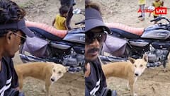 एक नंबर का चुड़ैल आदमी है यह... कुत्ते से साथ करने लगा प्रैंक तो भड़के यूजर्स, वायरल वीडियो देख आपको भी आ जाएगा गुस्सा