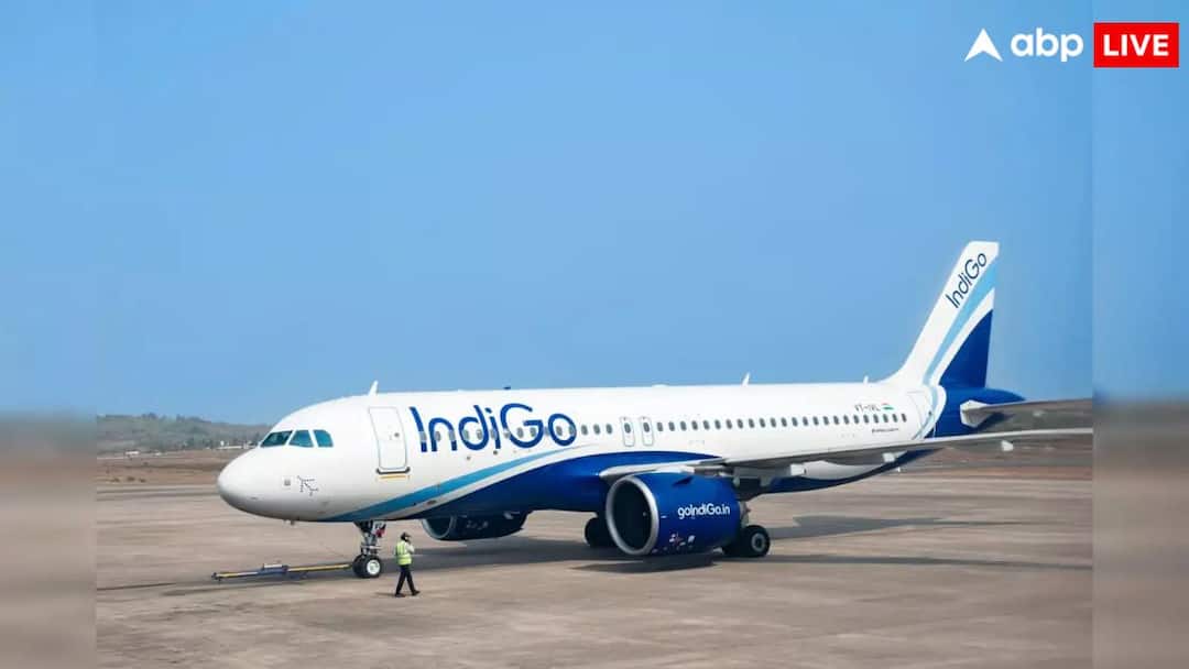 IndiGo Shares Crash 10% In A Week, More Flights Cancelled indigo shares crash 10 per cent in a week due to flight disruptions IndiGo Shares Crash 10% In A Week, More Flights Cancelled