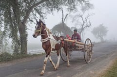 West Bengal Weather Update: আরও নামবে পারদ, আগামী কয়েকদিন কেমন থাকবে কলকাতার তাপমাত্রা?
