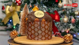 क्रिसमस पर बिना अंडे के कैसे बनाएं टेस्टी प्लम केक, यहां जानें आसान रेसिपी