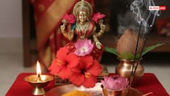 Friday puja: शुक्रवार को करें ये खास उपाय, लक्ष्मी कृपा से कभी नहीं होगी धन की कमी