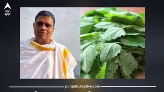 Winter Food: ਸਰਦੀਆਂ 'ਚ 'ਬਾਥੂ' ਸਿਹਤ ਲਈ ਵਰਦਾਨ! ਕਿਡਨੀ ਅਤੇ ਲਿਵਰ ਨੂੰ ਮਿਲੇਗੀ ਨਵੀਂ ਤਾਕਤ, ਆਚਾਰਿਆ ਬਾਲਕ੍ਰਿਸ਼ਣ ਨੇ ਦੱਸੇ ਫਾਇਦੇ