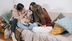 गाय-भैंस या बिल्ली भी तो पालते हैं इंसान, लेकिन कुत्तों से ही क्यों होती है इतनी मोहब्बत, क्या है इसका विज्ञान?