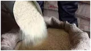 PDS Rice Illegal transport: పీడీఎస్ బియ్యం అక్ర‌మ ర‌వాణాకు పడని బ్రేక్‌! ఉభ‌య గోదావ‌రి జిల్లాల్లో రెచ్చిపోతున్న‌ రేష‌న్ రైస్‌ మాఫియా!