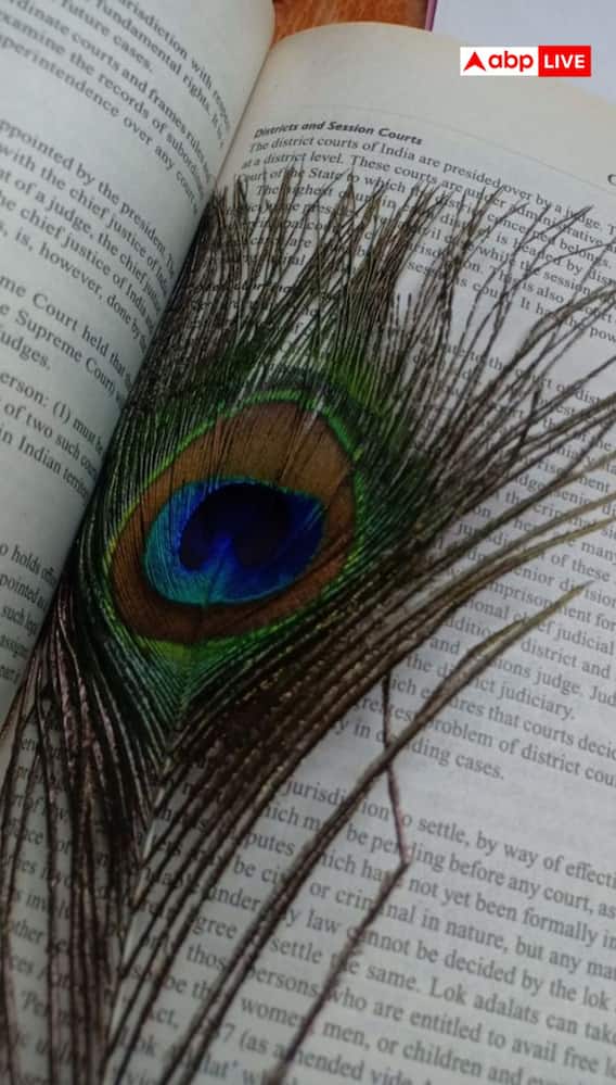 पुस्तकात मोरपीस ठेवल्याने तुमचे नशीब खरंच बदलते?