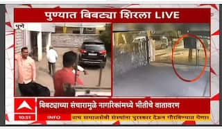 Pune Pashan Leopard News : पुण्यातील पाषाण - सुतारवाडी भागात बिबट्याचा संचार, नागरिकांमध्ये भीती