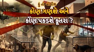 Hun To Bolish | હું તો બોલીશ | કોણ ગણશે અને કોણ પકડશે કૂતરા ?