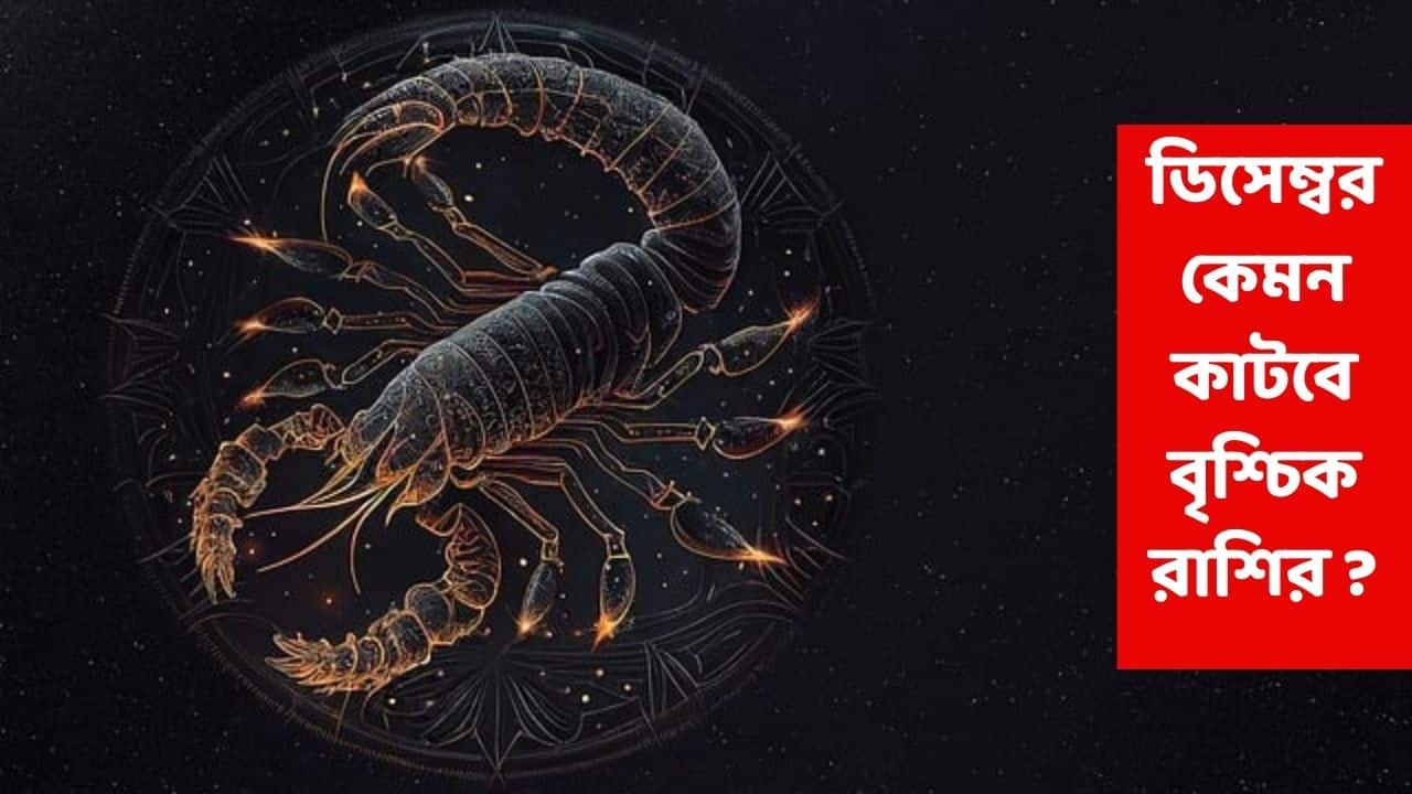 December 2025 Horoscope Scorpio : ডিসেম্বরে সাবধান এই রাশি, ওত পাতছে গোপন শত্রু; গোড়ার দিকে কেরিয়ার-পরিবার-আর্থিক ক্ষেত্রে ভীষণ ভোগান্তি
