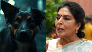 'लेडीज कुत्तों के साथ...', रेणुका चौधरी को लेकर विधायक के शब्दों ने गरमाया माहौल, बढ़ा सियासी पारा