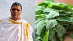 सर्दियों का सुपरफूड: बथुआ खाने से किडनी और लिवर को मिलेगी नई जान, आचार्य बालकृष्ण ने बताए फायदे