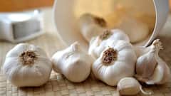 Garlic Benefits: सर्दी में लहसुन है 'सेहत का खजाना', आचार्य बालकृष्ण ने बताए गजब के फायदे