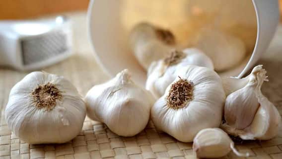 Garlic Benefits: सर्दी में लहसुन है 'सेहत का खजाना', आचार्य बालकृष्ण ने बताए गजब के फायदे