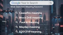 Pookie முதல் Cease Fire வரை.. 2025 இல் 2K கிட்ஸ் கூகுளில் தேடிய அதிக அர்த்தங்கள் எது தெரியுமா?