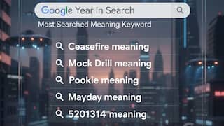 Pookie முதல் Cease Fire வரை.. 2025 இல் 2K கிட்ஸ் கூகுளில் தேடிய அதிக அர்த்தங்கள் எது தெரியுமா?