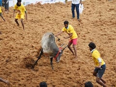 Photo story ; வெளிநாட்டு ஹாக்கி வீரர்கள் பார்வைக்காக மதுரையில் சிறப்பு ஜல்லிக்கட்டு போட்டி !
