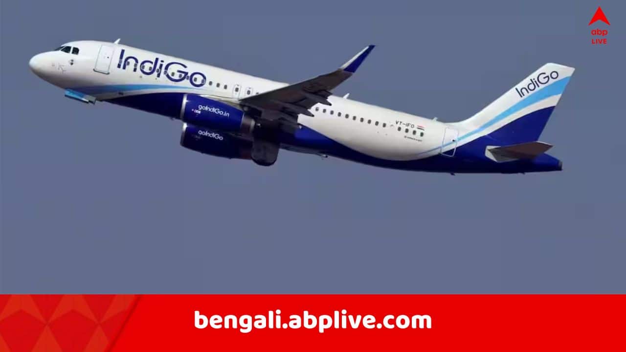 Indian Airlines: ব্যাহত ইন্ডিগোর বিমান পরিষেবা, 'দিল্লি বা মুম্বইয়ের টিকিট কিনতে গুনতে হচ্ছে ৫০-৬০ হাজার ..' ! কলকাতা থেকে কত লাগছে ?