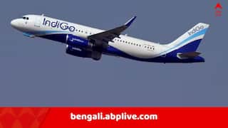 Indian Airlines: ব্যাহত ইন্ডিগোর বিমান পরিষেবা, 'দিল্লি বা মুম্বইয়ের টিকিট কিনতে গুনতে হচ্ছে ৫০-৬০ হাজার ..' ! কলকাতা থেকে কত লাগছে ?