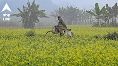 শীতের আমেজ গোটা রাজ্যে, বৃষ্টির আশঙ্কা রয়েছে? সপ্তাহান্তে কেমন থাকবে আবহাওয়া?