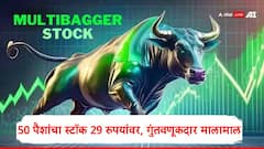 Multibagger Stock : 50 पैशांचा स्टॉक पोहोचला 29.80 रुपयांवर, एक लाखांचे झाले 5.96 कोटी, जाणून घ्या मल्टीबॅगर स्टॉकबद्दल