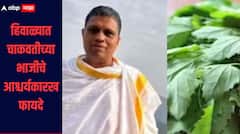 मूत्रपिंड ते यकृत! हिवाळ्यात चाकवतीच्या भाजीचे आश्चर्यकारख फायदे, आचार्य बाळकृष्ण यांनी दिली माहिती 