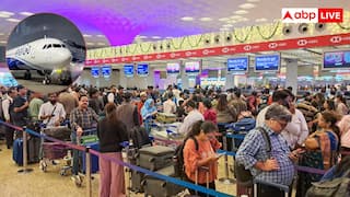 IndiGo Flights Cancelled : ఇండిగో రాకముందు భారతదేశంలో ఏయే విమానయాన సంస్థలు మూతపడ్డాయి? పూర్తి జాబితా ఇక్కడ చూడండి
