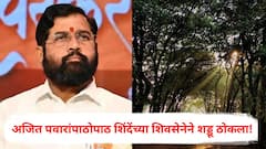 तपोवन वृक्षतोडविरोधातील आंदोलनाची धग आणखी वाढणार; सत्ताधारी अजित पवारांपाठोपाठ शिंदेंच्या शिवसेनेने शड्डू ठोकला!