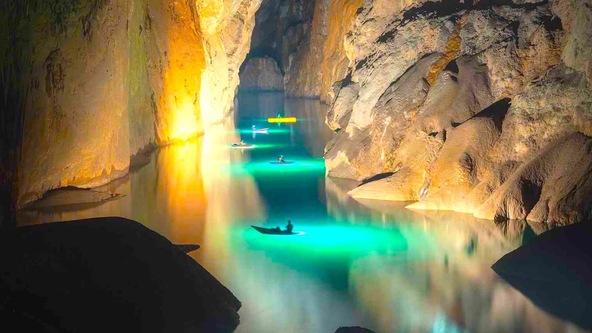 (Image Source: Twitter/@FascinatingTrue)