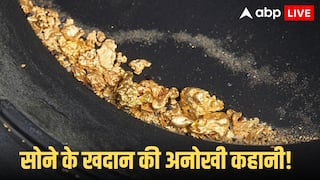 Brazil Gold Mine: ब्राजील के जंगलों में सोना ही सोना! मजदूर को यeहां मिला था 700 किलो खजाना, जानें अब क्या हो रहा?