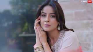 'मुझे फिल्मों में एक प्रॉप की तरह इस्तेमाल किया जा रहा', शहनाज गिल का छलका दर्द, बताया- क्यों पंजाबी फिल्मों में लगाया अपना पैसा?