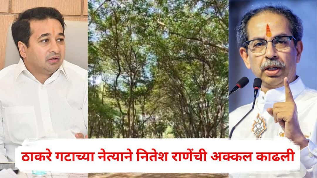 Nitesh Rane on Tapovan tree cutting: नितेश राणेंनी तपोवनातील वृक्षतोडीत कुर्बानीच्या बकऱ्यांना आणलं, ठाकरे गटाच्या नेत्याने अक्कल काढली, म्हणाला, 'टिल्लू लेव्हल बुद्धी....' Shiv Sena UBT Leader Akhil Chitre on Nitesh Rane Statement Nashik Tree Cutting Sadhugram Tapovan Maharashtra Politics Nitesh Rane on Tapovan tree cutting: नितेश राणेंनी तपोवनातील वृक्षतोडीत कुर्बानीच्या बकऱ्यांना आणलं, ठाकरे गटाच्या नेत्याने अक्कल काढली, म्हणाला, 'टिल्लू लेव्हल बुद्धी....'