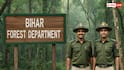 Bihar Forest Department Recruitment 2025: बिहार वन विभाग में बम्पर पदों पर होगी भर्ती, जानें कैसे कर सकते हैं आवेदन