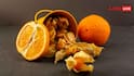संतरे से भी ज्यादा फायदेमंद हैं छिलके, जरूर जानें इसके सुपरहेल्दी फायदे