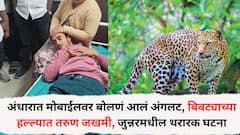 'अंधारात मोबाईलवर बोलणं आलं अंगलट, बिबट्याच्या हल्ल्यात तरुण जखमी', नारायणगाव-जुन्नर रस्त्यालगतची थरारक घटना, रात्री सव्वा आठच्या सुमारास नेमकं काय घडलं?