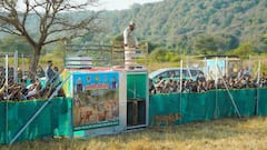 CM Mohan Yadav Releases 3 Cheetahs At Kuno On Int'l Cheetah Day, Calls Them 'Crown Jewel Of MP's Forests'