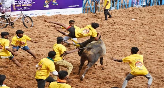Photo story ; வெளிநாட்டு ஹாக்கி வீரர்கள் பார்வைக்காக மதுரையில் சிறப்பு ஜல்லிக்கட்டு போட்டி !