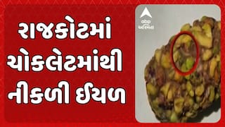 Rajkot News: રાજકોટમાં બકલાવા ચોકલેટમાં ઈયળ, FSIના નિયમોનો ભંગ કરી ચોકલેટનું વેચાણ