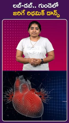 లబ్-డబ్.. గుండెలో జరిగే రిథమిక్ డాన్స్