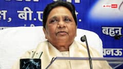 'वोट ही असली ताकत, SIR में बढ़-चढ़कर भाग लें', अंबेडकर परिनिर्वाण दिवस पर बोलीं मायावती