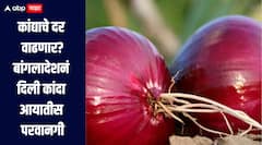 कांदा उत्पादकांसाठी मोठी बातमी! बांगलादेशने दिली कांदा आयातीस परवानगी, दरात वाढ होण्याची शक्यता 