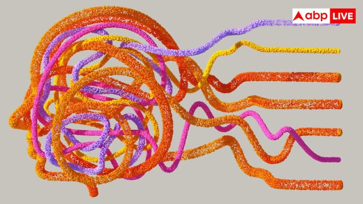 दिमाग और याददाश्त को मजबूत रखने के लिए कोशिश करें कि आप नई स्किल्स सीखें. नई स्किल में जैसे नई भाषा, म्यूजिक इंस्ट्रूमेंट, डांस फॉर्म या कोडिंग सीखने से दिमाग में नए नेचुरल कनेक्शन बनते हैं