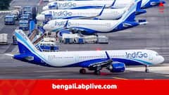 ইন্ডিগো বিপর্যয়, আজও দেশজুড়ে ৩৬৯টির বেশি উড়ান বাতিল, ভোগান্তি যাত্রীদের