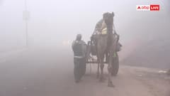 आ गई कंपकंपाती ठंड! राजस्थान के शेखावाटी में शीतलहर का अलर्ट, फसलों पर भी संकट के आसार