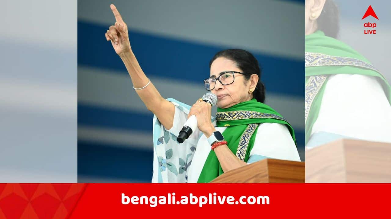 CM Mamata Banerjee:'যারা দেশকে ধ্বংস করায় মেতেছে, তাঁদের বিরুদ্ধে..', সম্প্রীতি দিবসে ঐক্যের বার্তা মুখ্যমন্ত্রীর